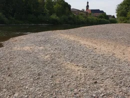 Neckar (Ilvesheim-Seckenheim)-3