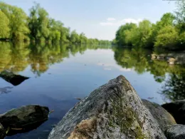 Neckar (Ilvesheim-Seckenheim)-1