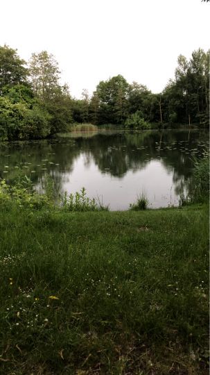 Seenpark 1 (Blexersande)-2