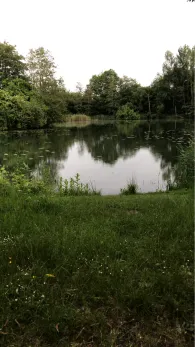 Seenpark 1 (Blexersande)-2