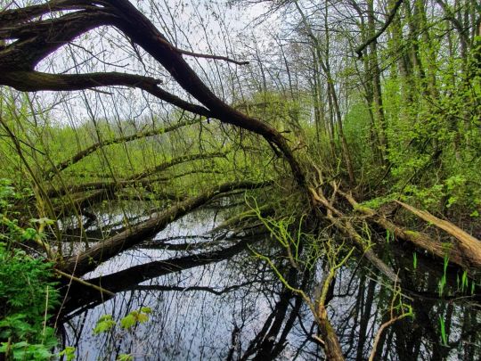 Seenpark 1 (Blexersande)-1