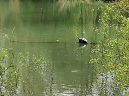 Seenpark 1 (Blexersande)