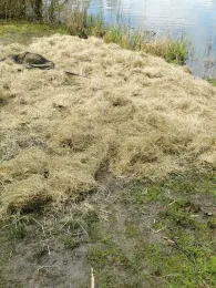 Seenpark 1 (Blexersande)-3