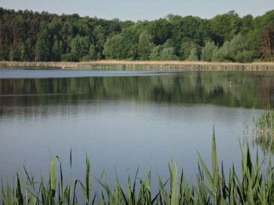 Angelhof Canow - großer See-2