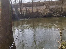 Rednitz (Nürnberg)-1