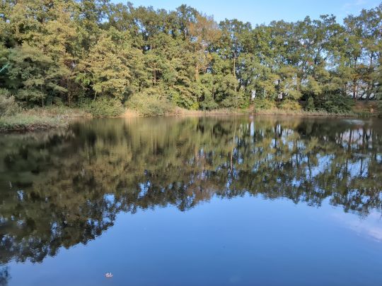 Waldseen Klein Kienitz-2