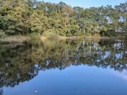 Waldseen Klein Kienitz-2