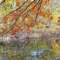 Schiffespielplatz (Cottbus)