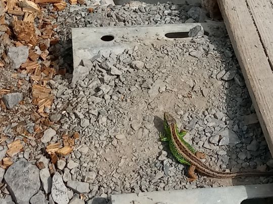 Elbbach (Oberzeuzheim)-2