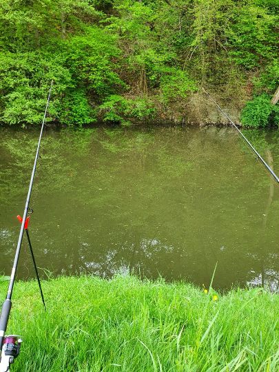 Elbbach (Oberzeuzheim)-4