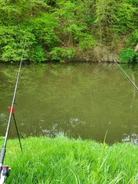 Elbbach (Oberzeuzheim)-4