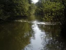 Elbbach (Oberzeuzheim)