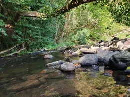 Elbbach (Oberzeuzheim)-1