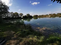 Galgenweiher (Buchloe)