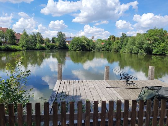 Dorfweiher Buch am Wald-3