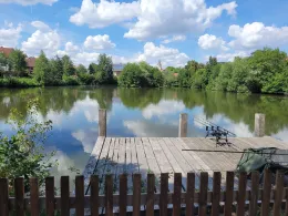 Dorfweiher Buch am Wald-3