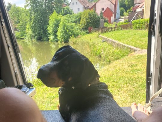 Dorfweiher Buch am Wald-4