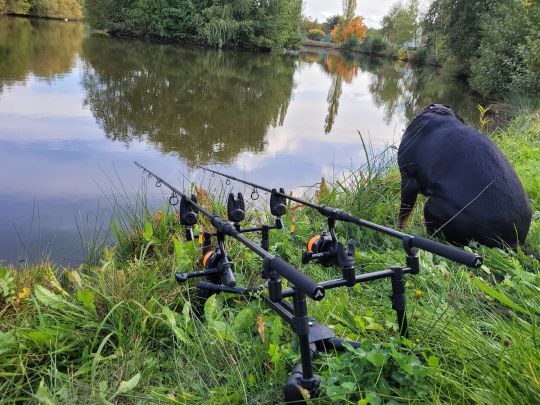 Dorfweiher Buch am Wald-1