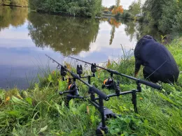 Dorfweiher Buch am Wald-1