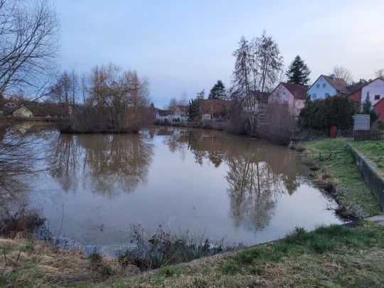 Dorfweiher Buch am Wald