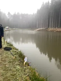 Gerweiher (Ellenberg)-4