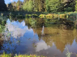 Gerweiher (Ellenberg)-2