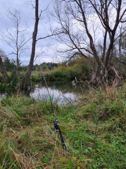 Simmerbach (Simmern)-1