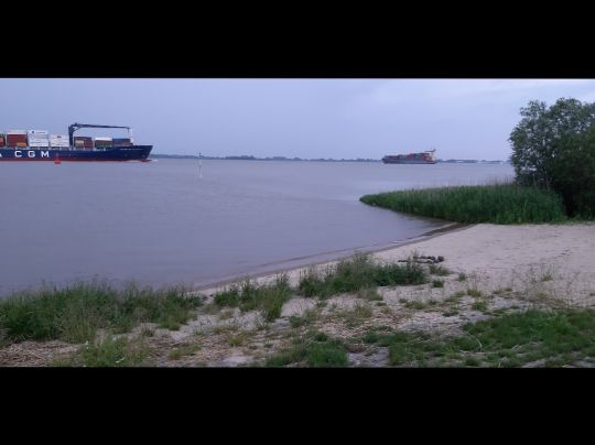 Elbe (Kollmar)-2