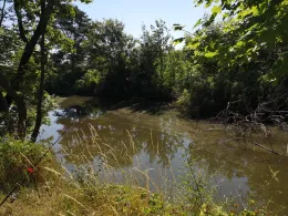 Zickmantelscher Mühlgraben-1