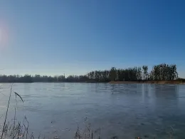 Stackebrandts Pappelstich (Zehdenick)