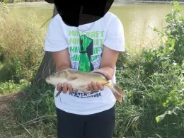 Puschwitzer Wasser (Neschwitz)