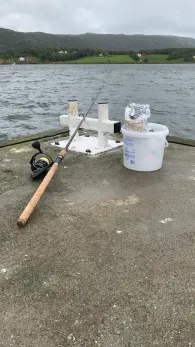 Lauvsnes (Flatanger)