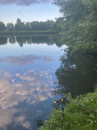 Kurtsteich (Wernigerode)-2