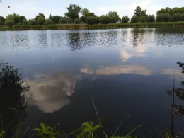 Kurtsteich (Wernigerode)-1