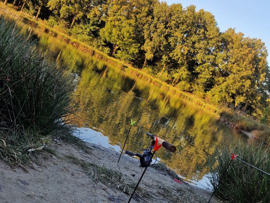 Noord-Esmarkerrondweg (Enschede)-4