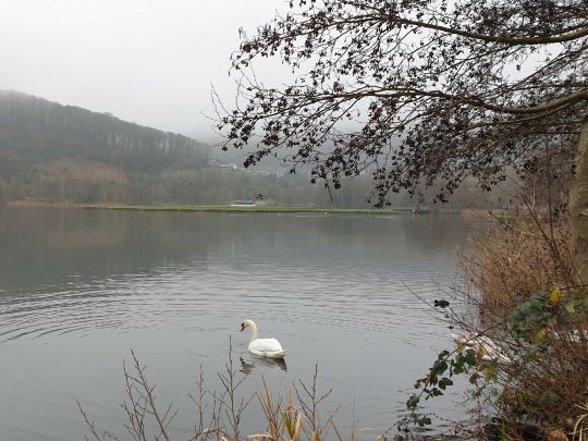Lac d'Echternach angeln