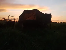 Südliches Verbindungstief (Hooksiel)-4