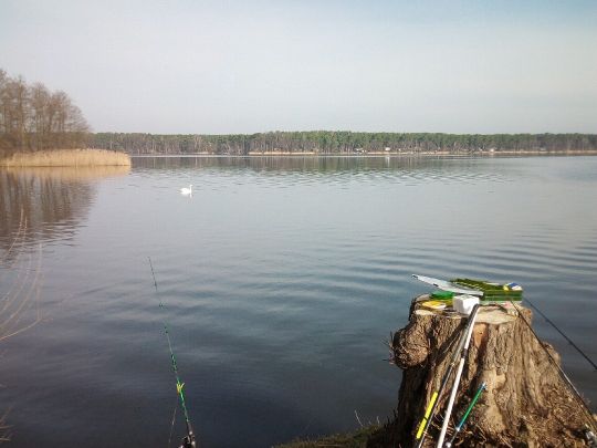 Schweriner See (Teupitz)-0