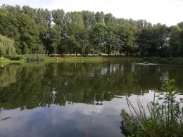 Visvijver Zuid Oost Hoek te Rimburg-1