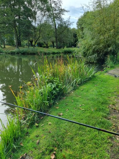 Visvijver Zuid Oost Hoek te Rimburg-2