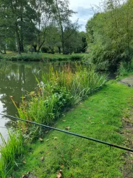 Visvijver Zuid Oost Hoek te Rimburg-2