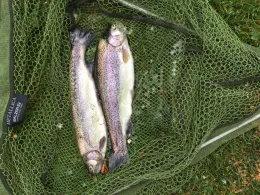 Weiher 1 (FV Finsing)-1