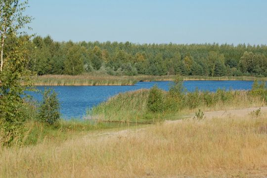 Blauer See (Burgkemnitz)-2