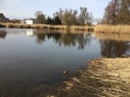 Rötkolk (Wartenburg)-0