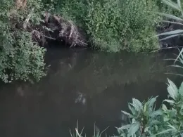 Wiedau (Rotenburg/Wümme)