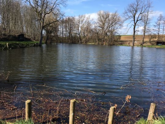 Teich Kleintauschwitz-4