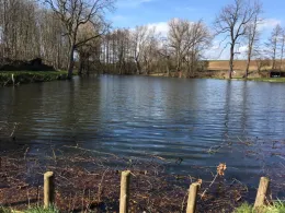 Teich Kleintauschwitz-4