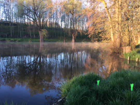 Teich Kleintauschwitz-1