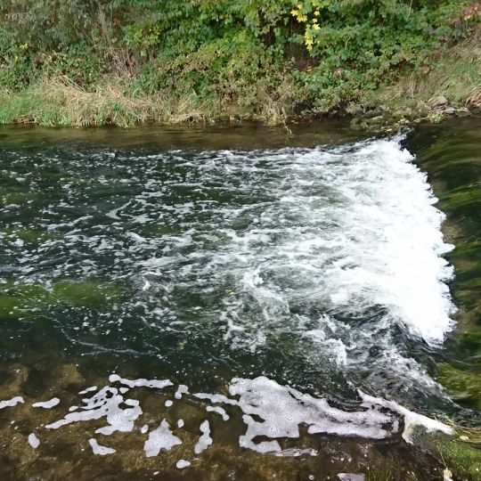 Leine (Bovenden)