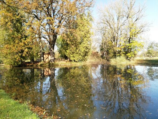 Forellenhof Polling-2